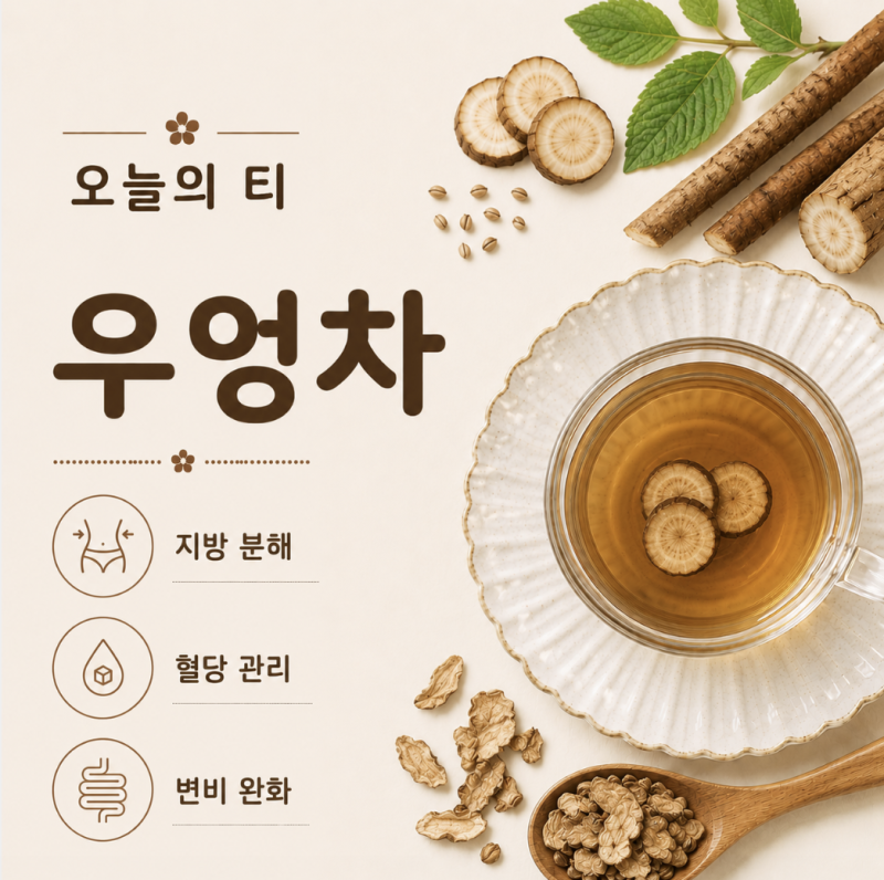 우엉차 효능과 부작용 지방을 태우고 혈당관리에 효과적인 차 [오늘의 티]