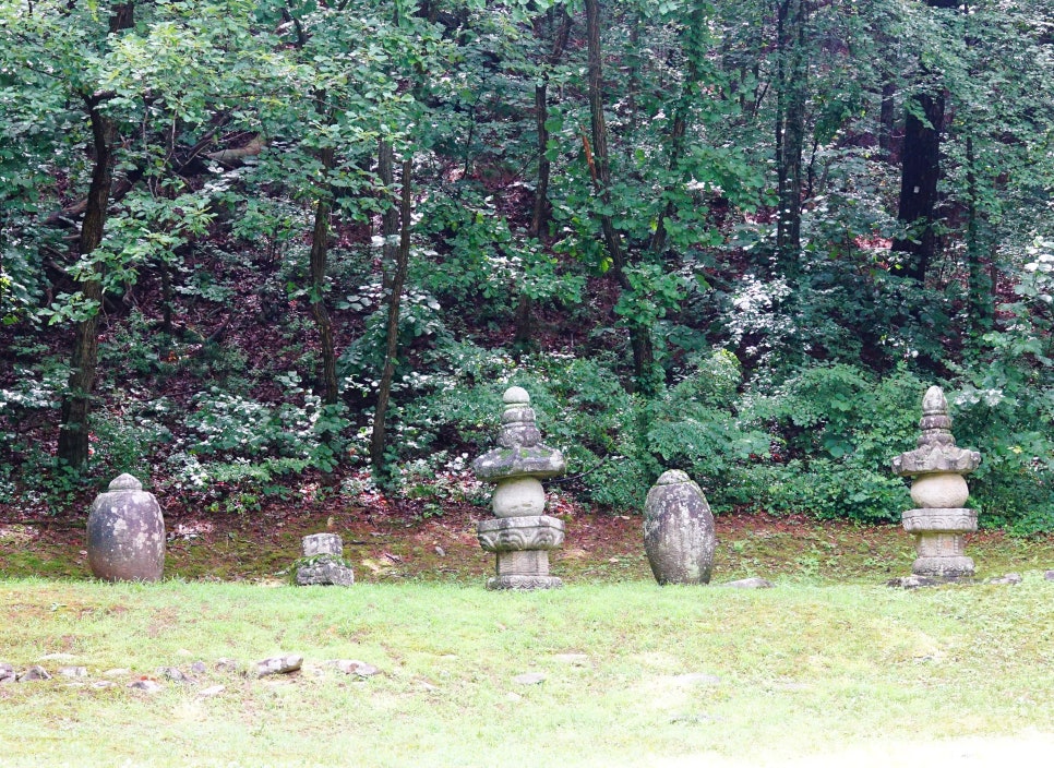 나는숲이다 사진 5