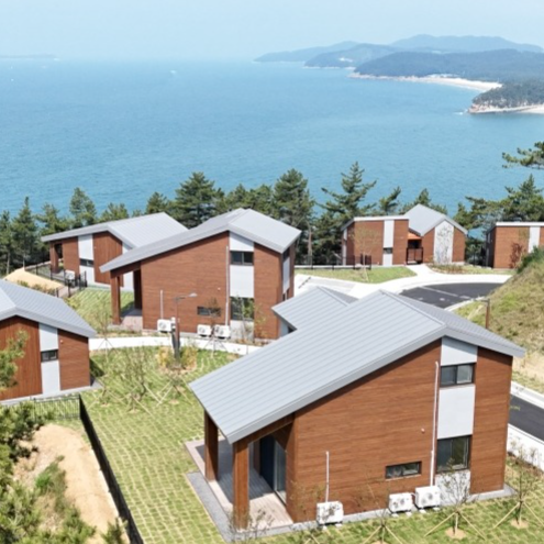섬 속의 숲 원산도 자연휴양림에서 즐기는 완벽한 오션뷰 힐링 여행