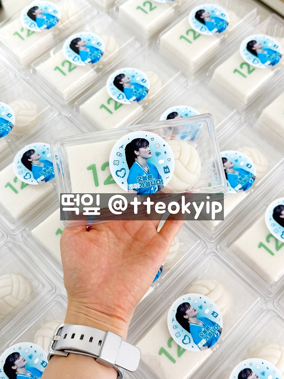 떡잎 사진 1