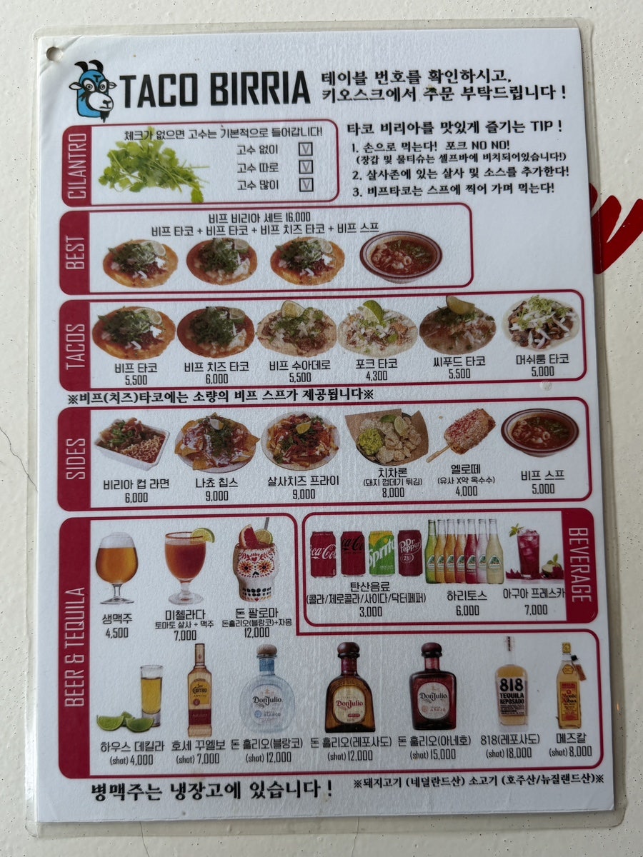 타코비리아 사진 4