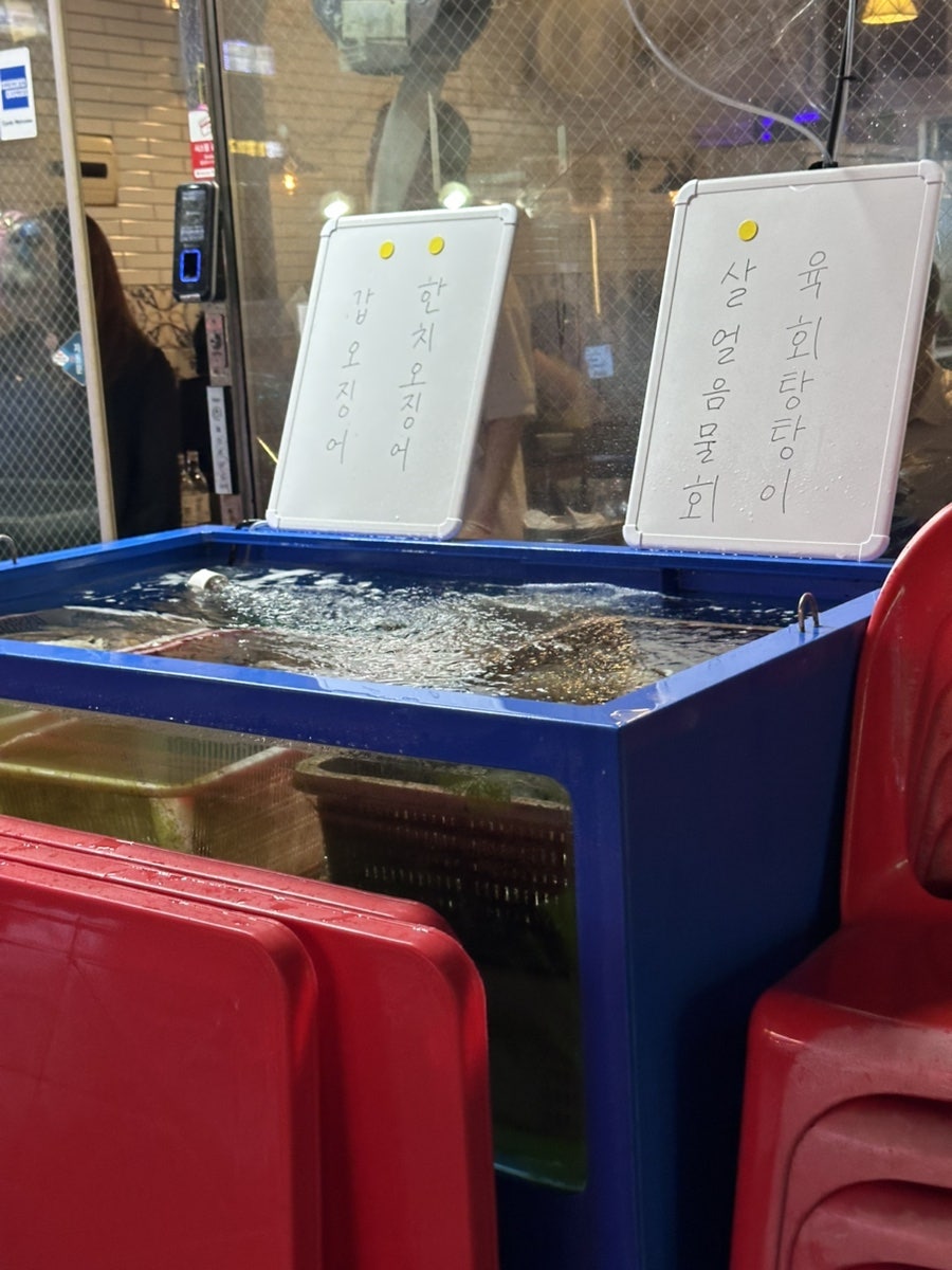 전복파는청년 사진 4