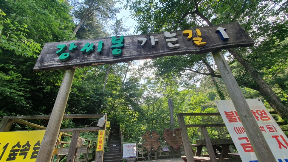 강씨봉자연휴양림 사진 5