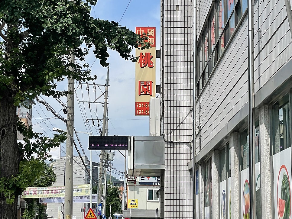 도원 사진 2