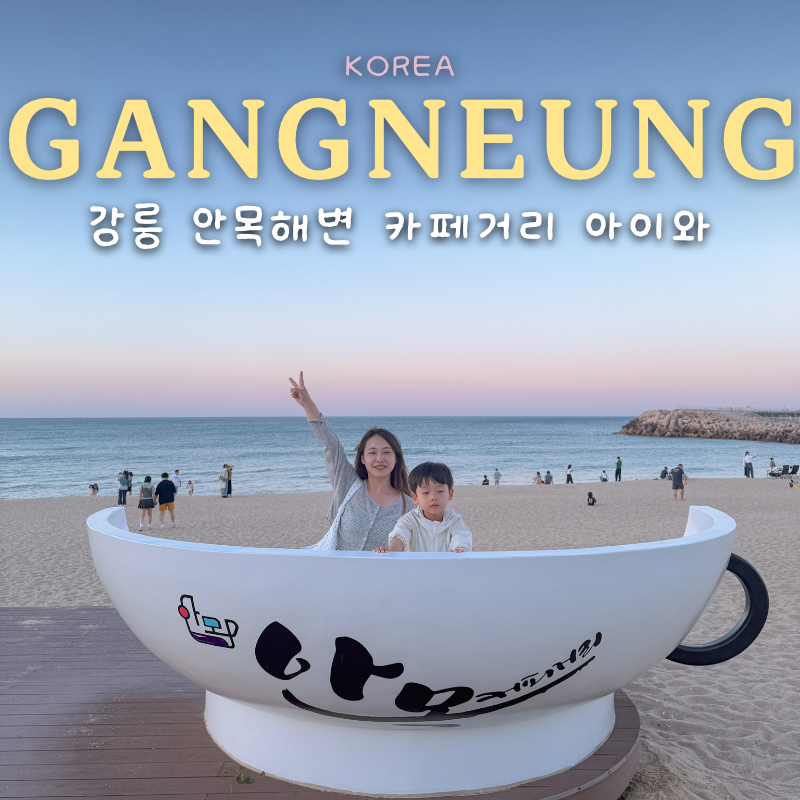 강릉 안목해변 카페거리 아이와 3시간 순삭하는 코스 추천
