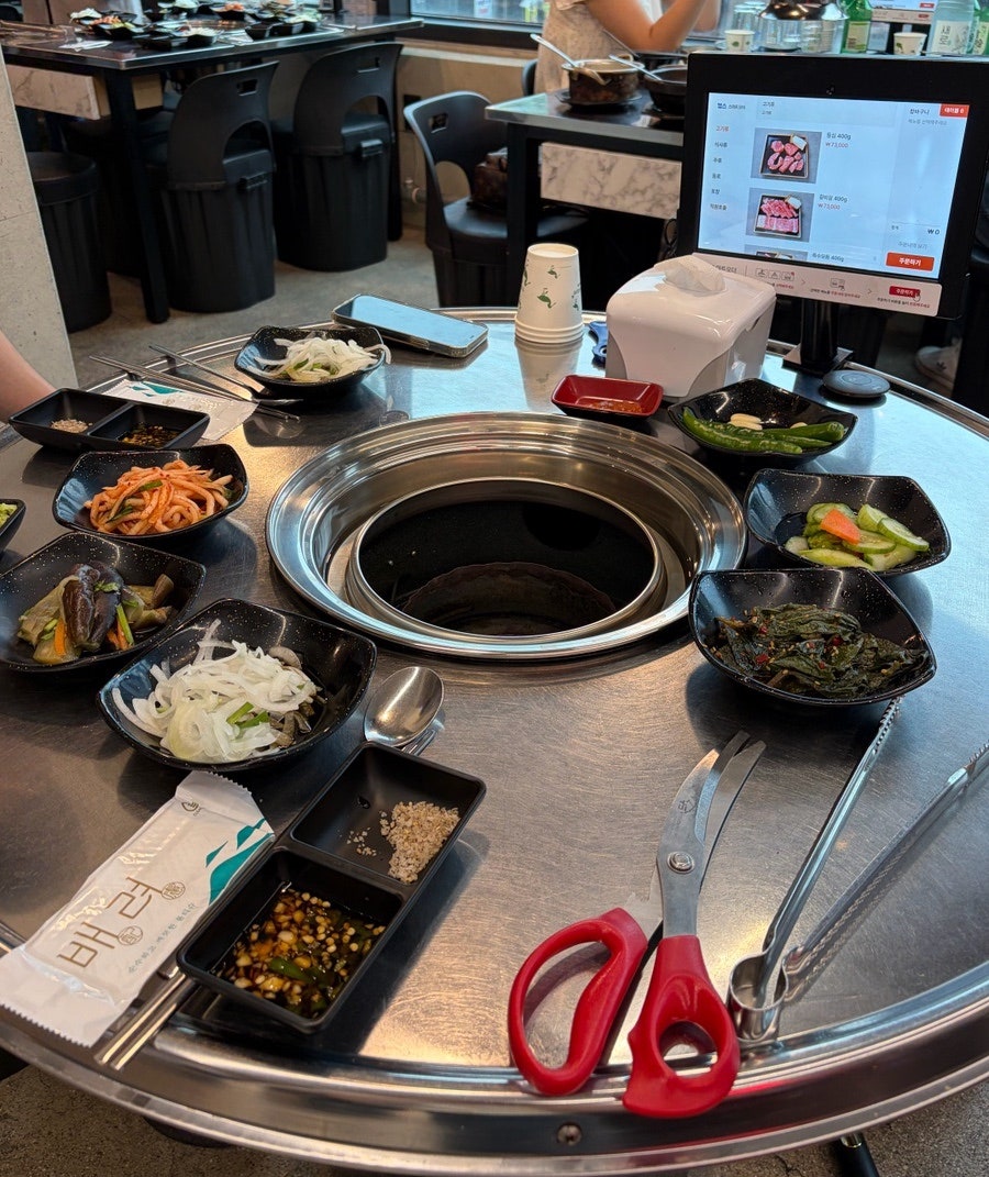 정직한하누 사진 4