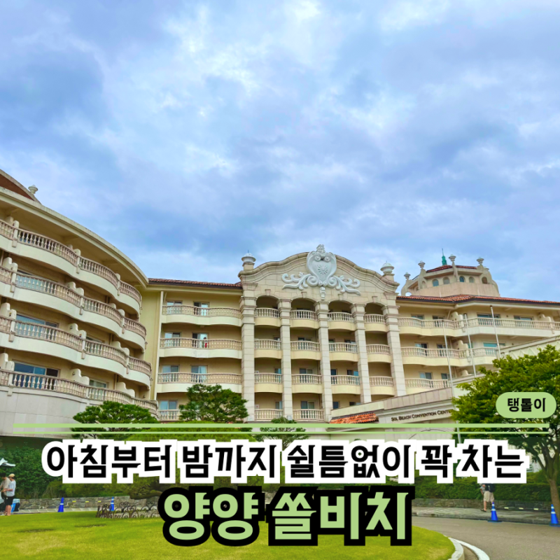양양 | 쏠비치 생각보다 가족 여행 만족도가 높은 이유, 아이랑 함께가면 쉴틈없이 100% 알찬 ....
