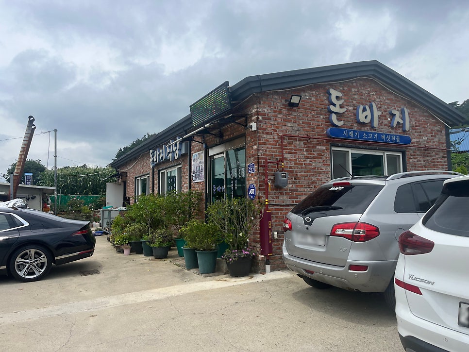 돈바지 사진 3