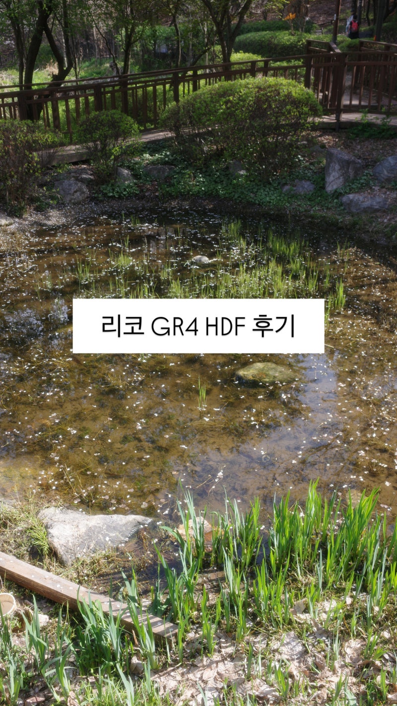리코 GR4 구매 후기 두 달 사용해 보니 왜 인기인지 알겠어요!!