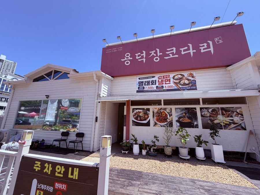 용덕장코다리 다대포점 사진 1