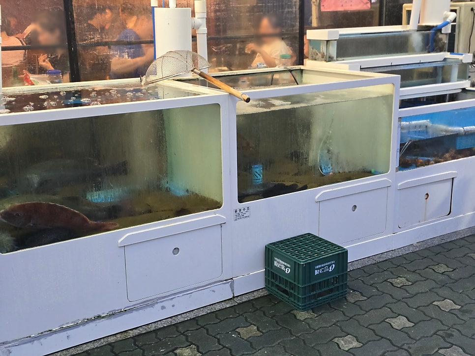 오광수산 사진 3