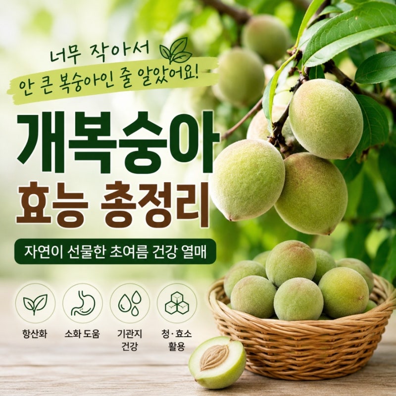 개복숭아 효능 총정리, 너무 작아서 아직 안 큰 복숭아인 줄 알았어요