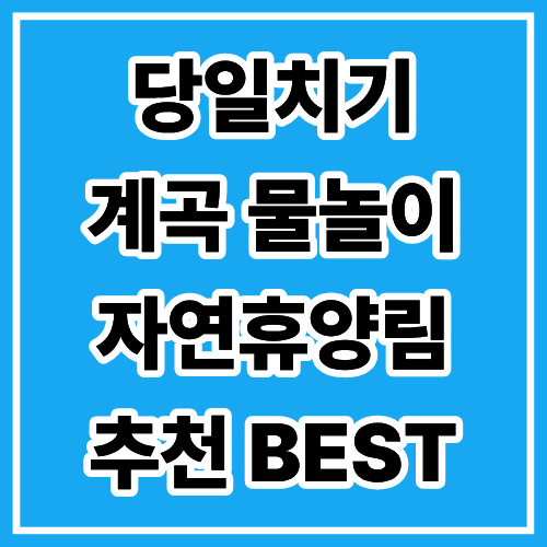 국립용화산자연휴양림 야영장 사진 2