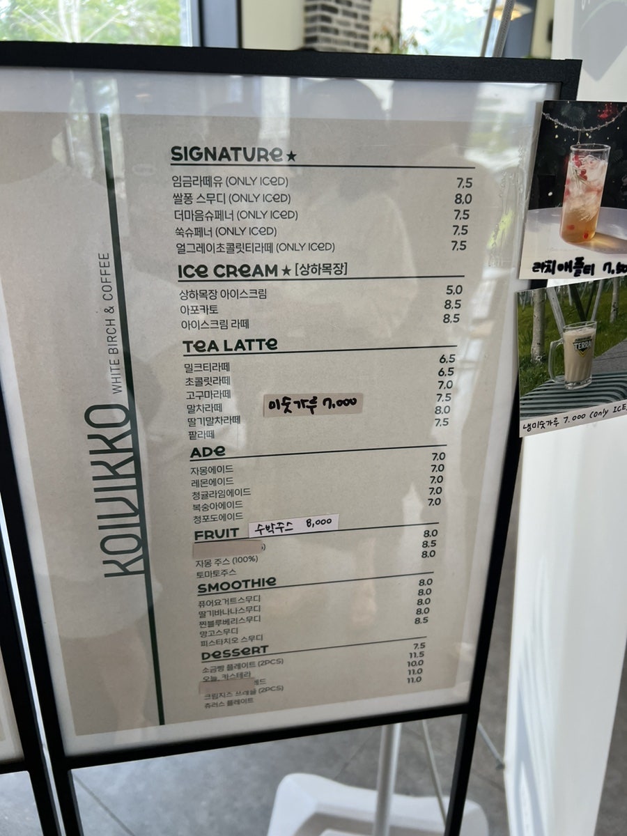 코이비꼬 사진 5