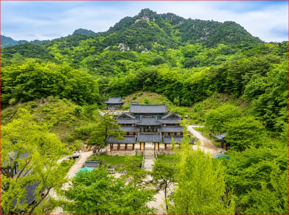 거북이카페 사진 1