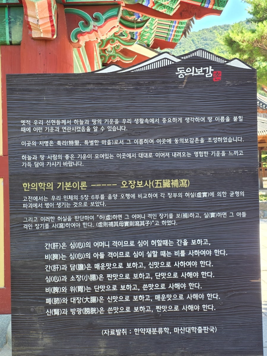 동의보감촌 동의본가 사진 3