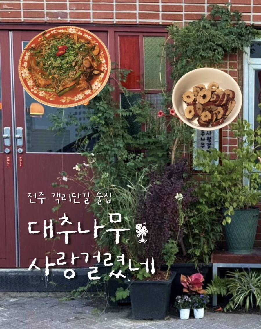 대추나무 사진 1