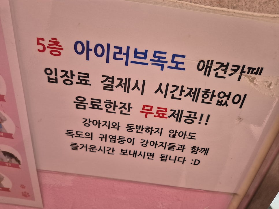 아이러브독도 사진 3