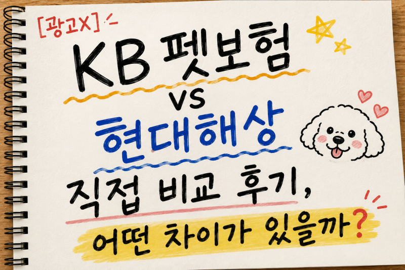 [광고X]KB펫보험 vs 현대해상 직접 비교 후기, 어떤 차이가 있을까?