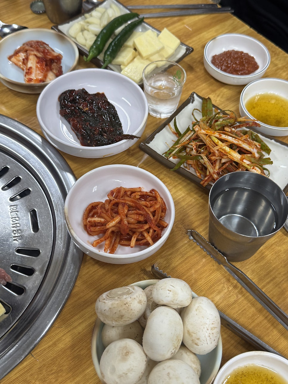 부산갈매기 사진 6
