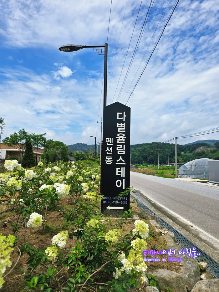 Dabyeotyulrimseutei photo 3