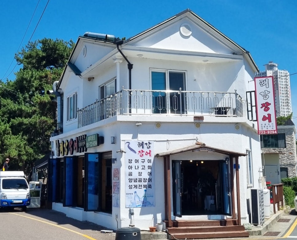 해강장어 사진 2