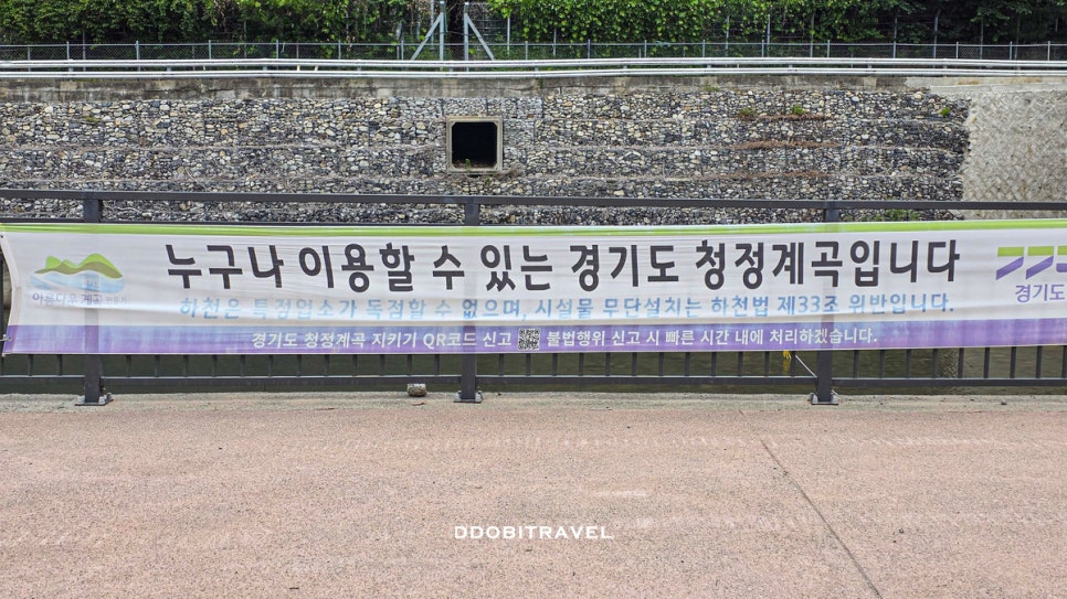 소프 사진 5