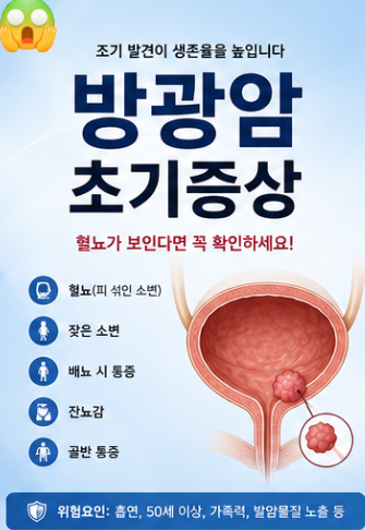 방광암 초기증상, 혈뇨가 보인다면 꼭 확인해야 하는 이유