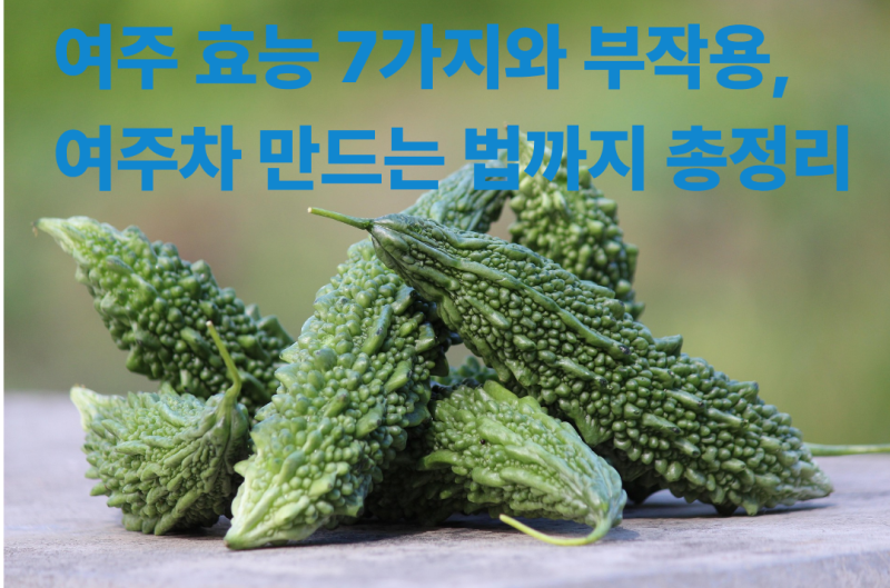여주 효능 7가지와 부작용, 여주차 만드는 법까지 총정리