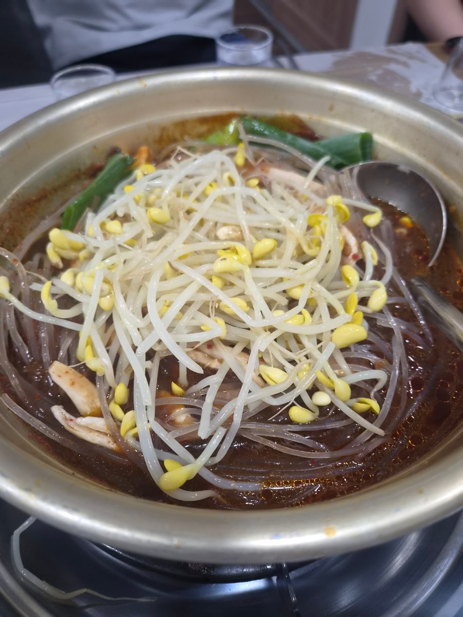 두꺼비 사진 3