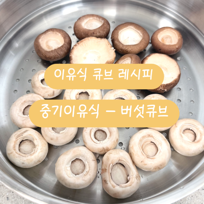 중기 이유식 레시피 '버섯 큐브' | 표고버섯, 양송이버섯