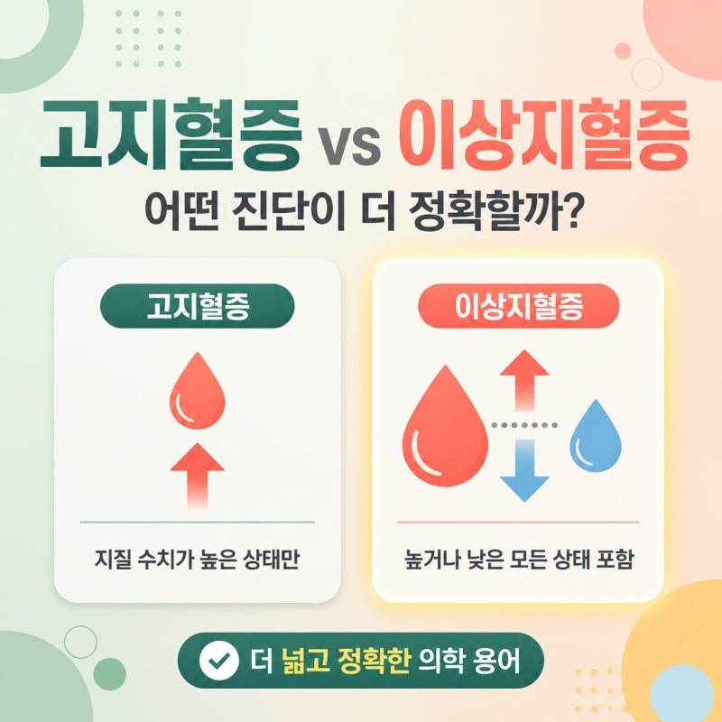 이상지혈증 고지혈증 차이, 헷갈리는 유래와 정확한 정의 비교