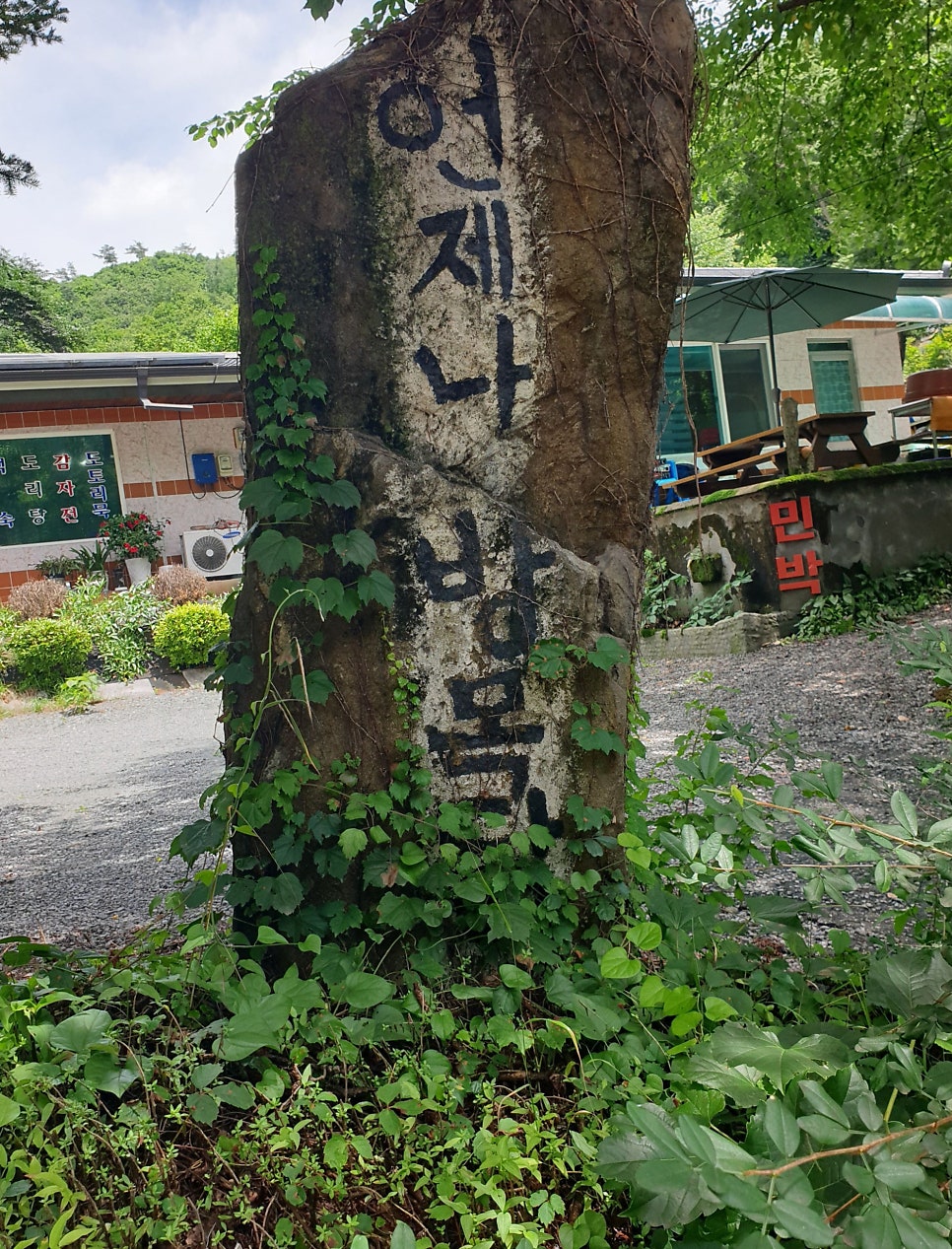 미식 사진 2