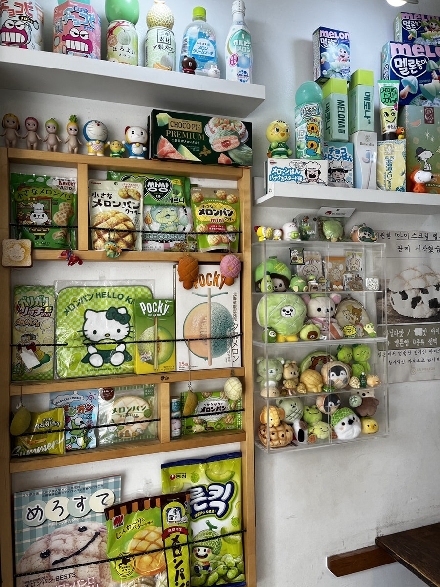카멜리온 사진 4