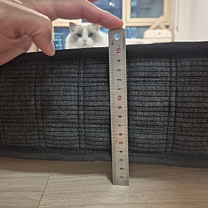[내돈내산] "엘라비아 FM5 구매 후기"