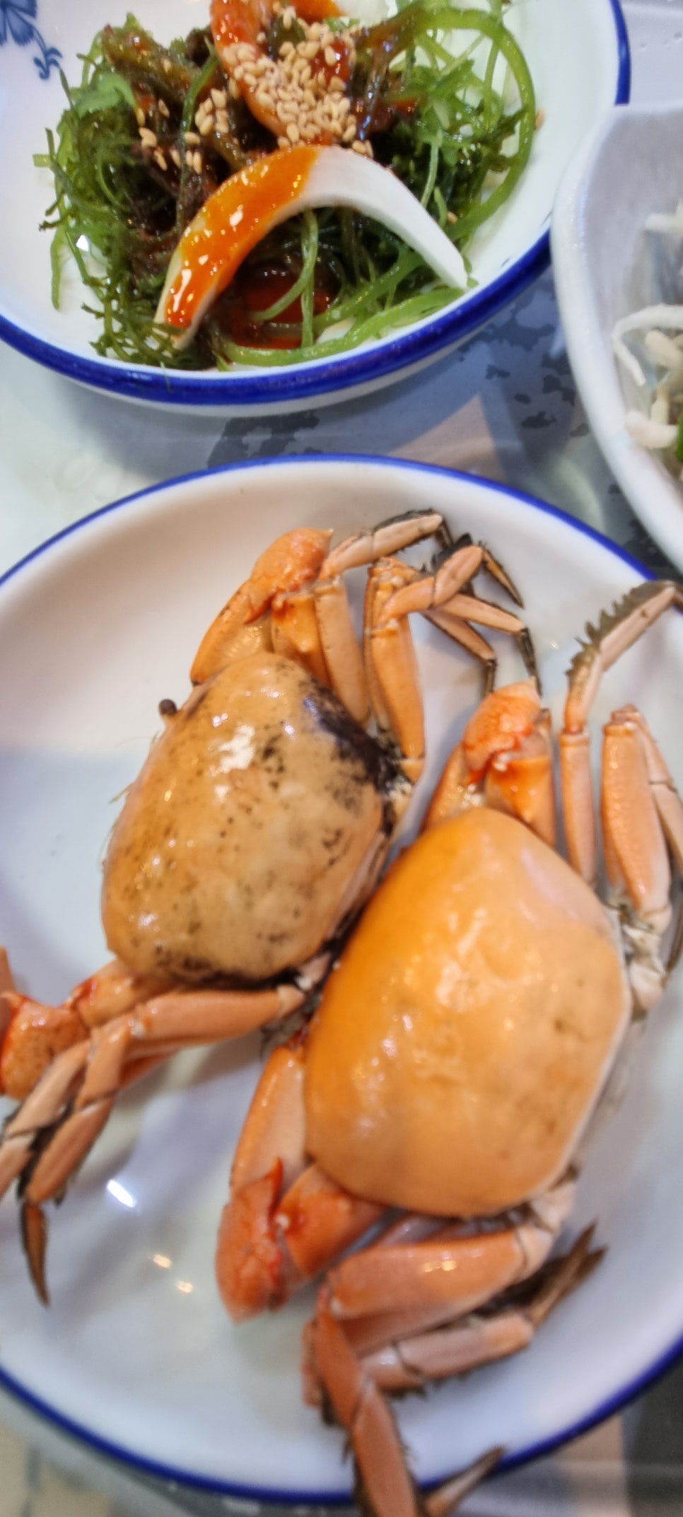 해강장어 사진 6