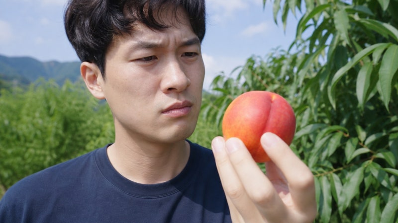 당뇨 환자 천도 복숭아 효능 혈당 관리 섭취 주의점