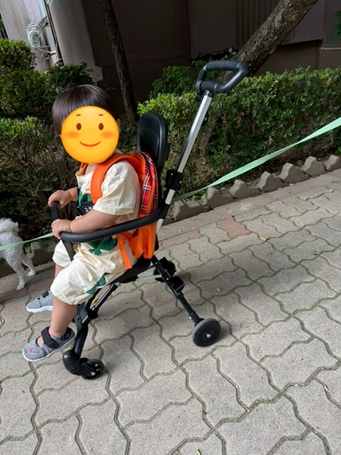 베이블퓨어리 트라이크 T2 단점.. 사지마세요