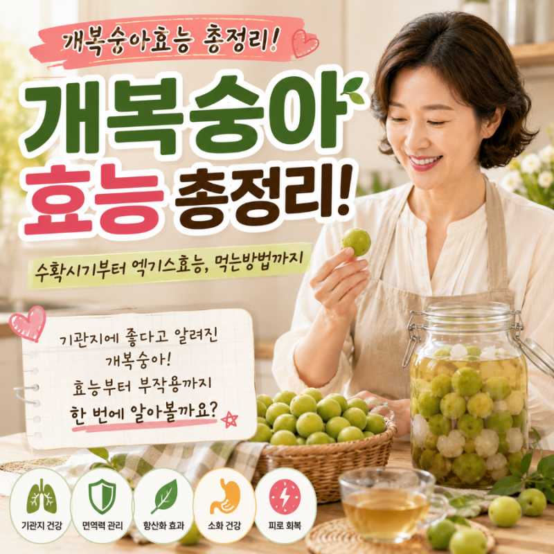 개복숭아효능 총정리! 수확시기부터 엑기스효능, 먹는방법까지