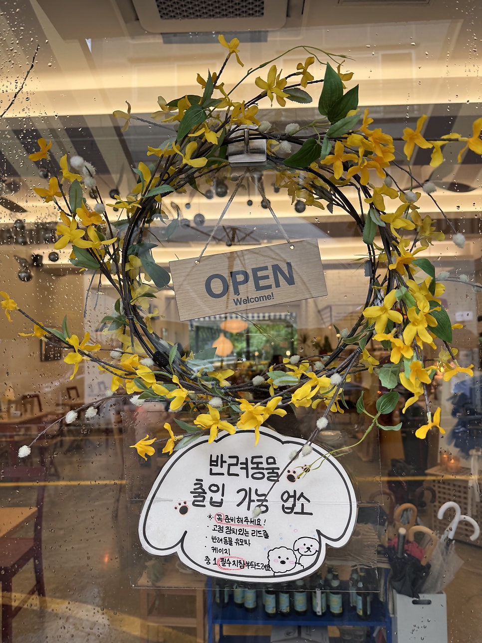 멀멀 판교 사진 6