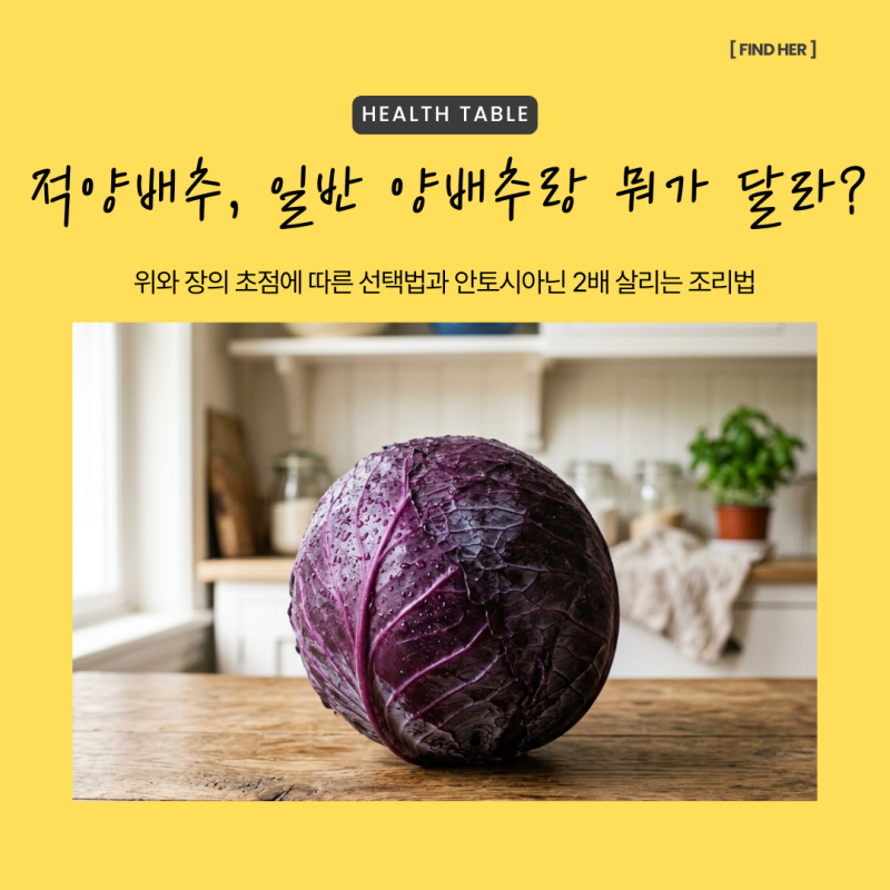 적양배추 효능, 일반 양배추랑 뭐가 다를까? 안토시아닌 2배 살리는 찌기 조리법