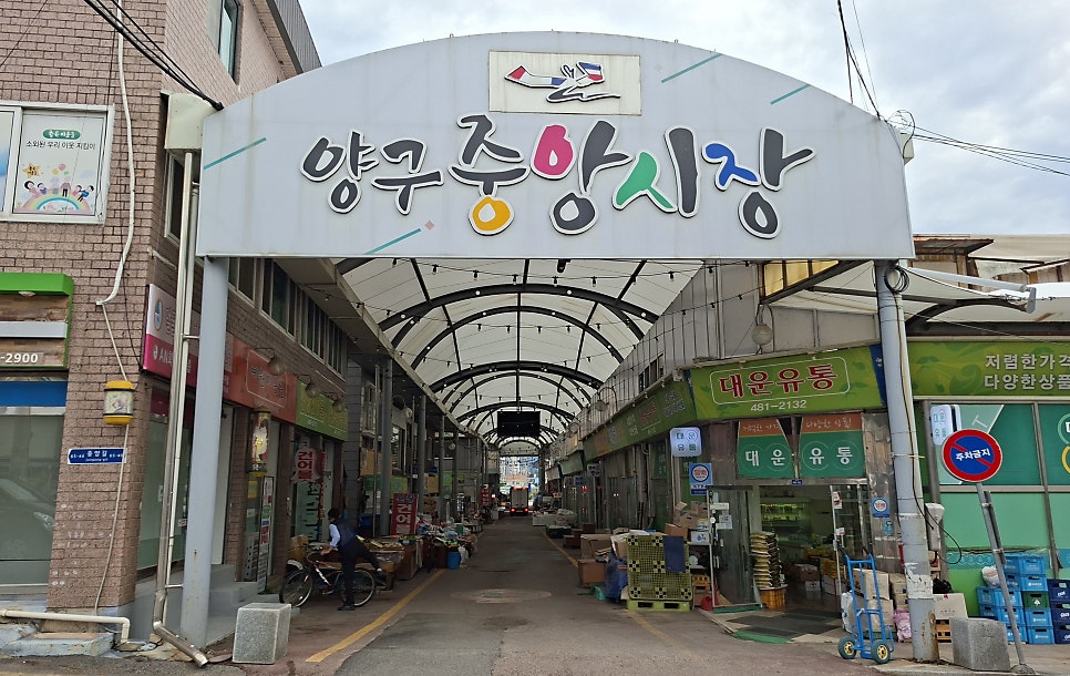 광치자연휴양림 사진 6
