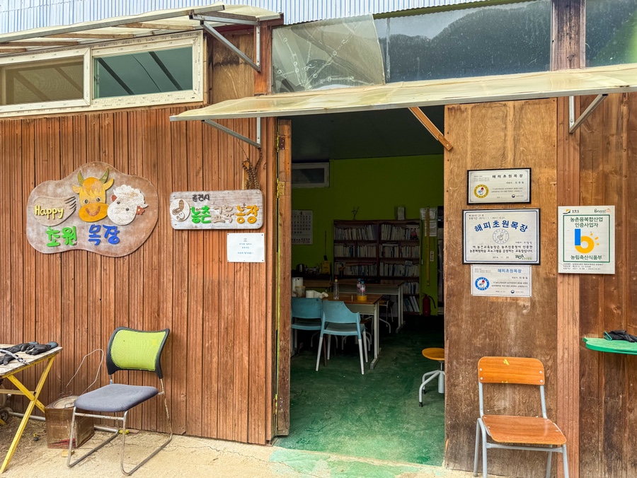 닭장 사진 3