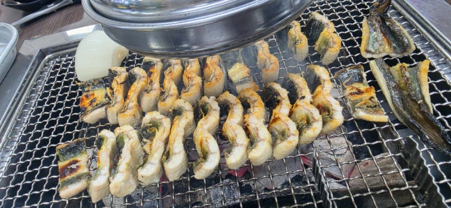 힘센장어 사진 6