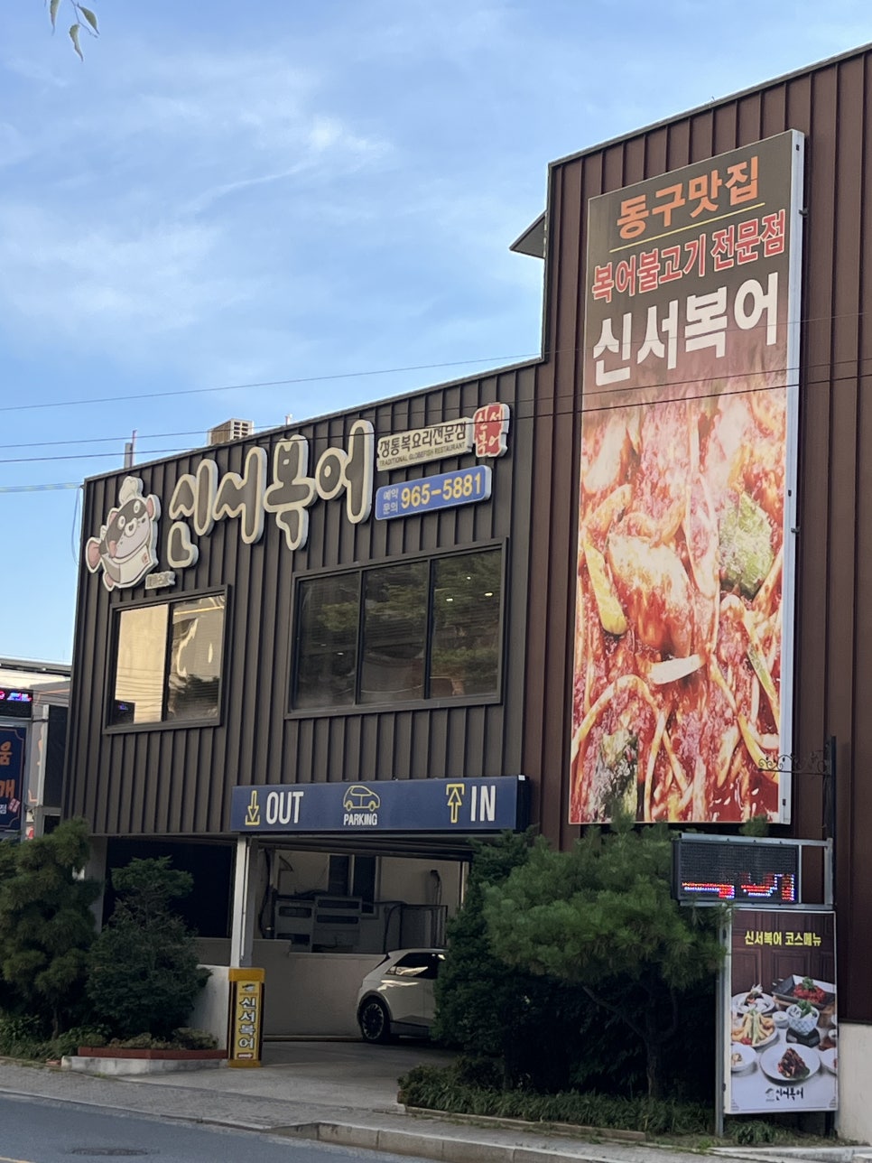 신서복어 사진 1