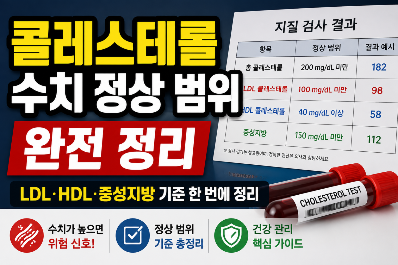 콜레스테롤 수치 정상 범위 완전 정리 | LDL·HDL·중성지방 기준 한 번에 총정리