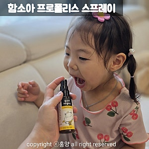 어린이 프로폴리스 추천 함소아 프로폴리스 스프레이