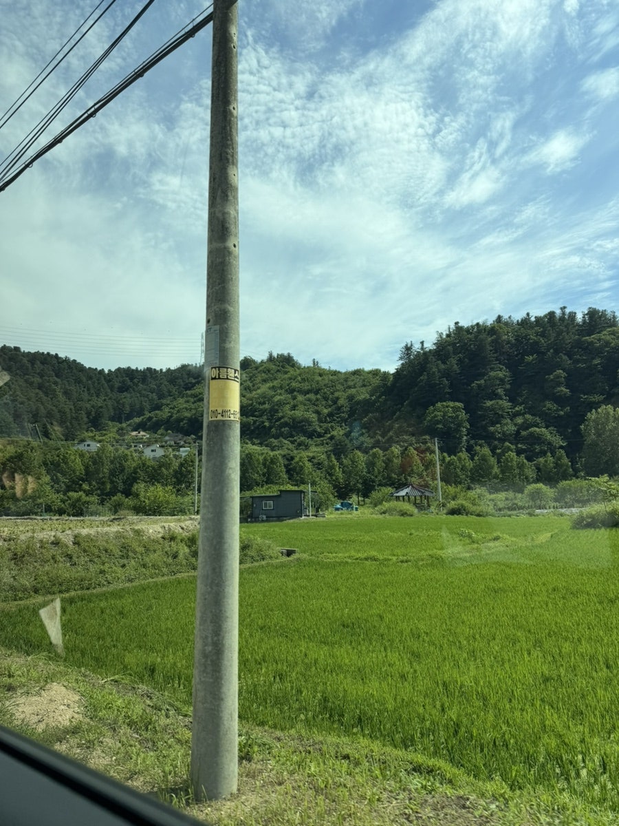 수림재 사진 4