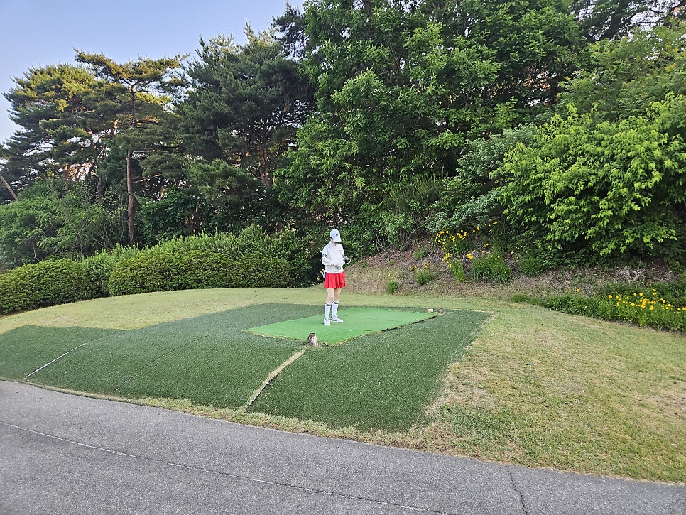 플레이모두 사진 6