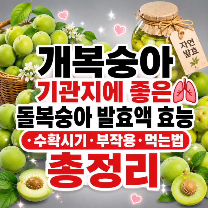 개복숭아 기관지에 좋은 돌복숭아 산복숭아 발효액 효능 · 수확시기·부작용·먹는법 총정리